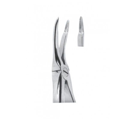 Extracting Forceps